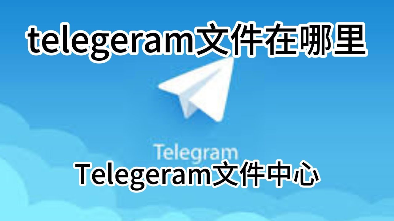 纸飞机APP下载存档路径查询指南